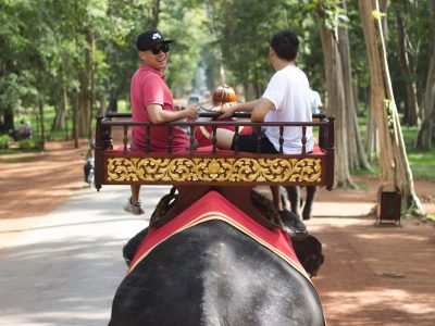 1781131_10152220501936674_3995493956731196461_o